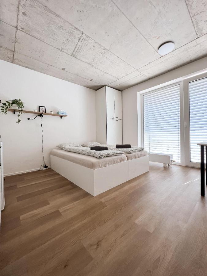 Celestial Apartments Бърно Екстериор снимка